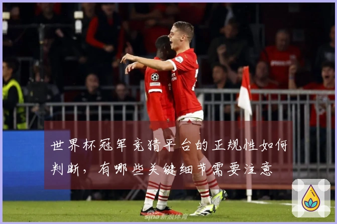 世界杯冠军竞猜平台的正规性如何判断，有哪些关键细节需要注意