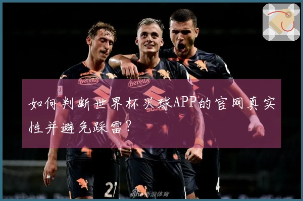 如何判断世界杯买球APP的官网真实性并避免踩雷？