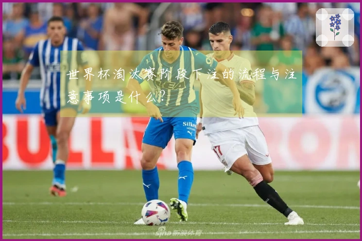 世界杯淘汰赛阶段下注的流程与注意事项是什么？