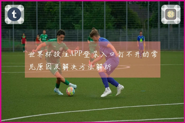 世界杯投注APP登录入口打不开的常见原因及解决方法解析