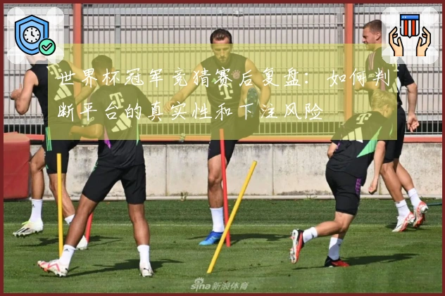 世界杯冠军竞猜赛后复盘：如何判断平台的真实性和下注风险