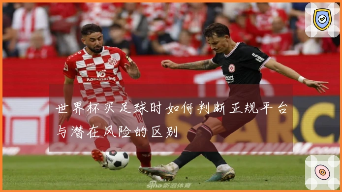 世界杯买足球时如何判断正规平台与潜在风险的区别