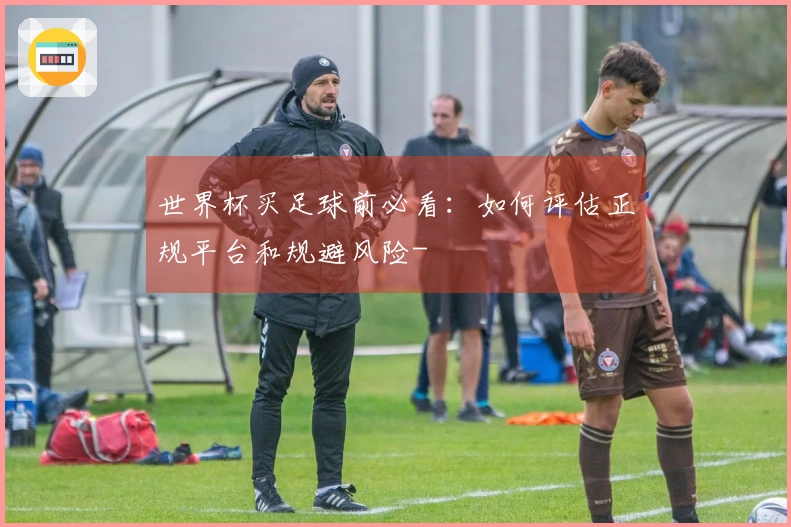世界杯买足球前必看：如何评估正规平台和规避风险-